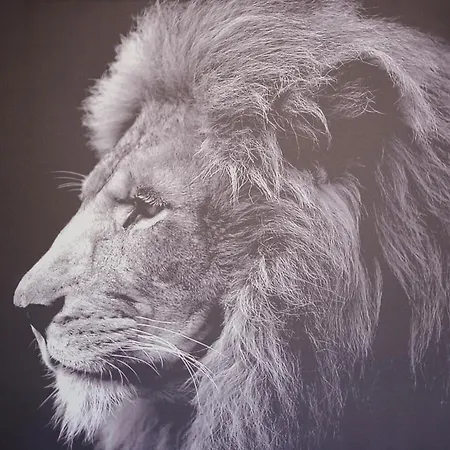 Апартаменты Proche Rouen - 2 Pieces