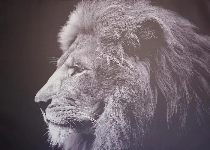 Апартаменты Proche Rouen - 2 Pieces